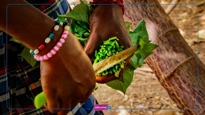 Photos : Autonomisation des femmes en milieu rural dans la commune de Missirah par l’Ong Le Korsa 